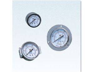 Pressure Gauge