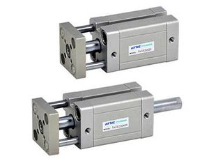 TACE Series Guided Cylinder
