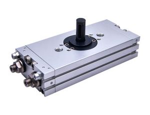 HRS Series Rotary table cylinder